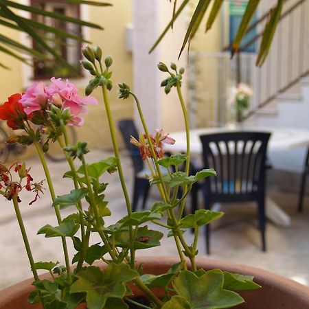 Apartment Nana 1 Šibenik Екстериор снимка