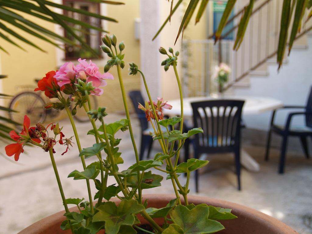 Apartment Nana 1 Šibenik Екстериор снимка